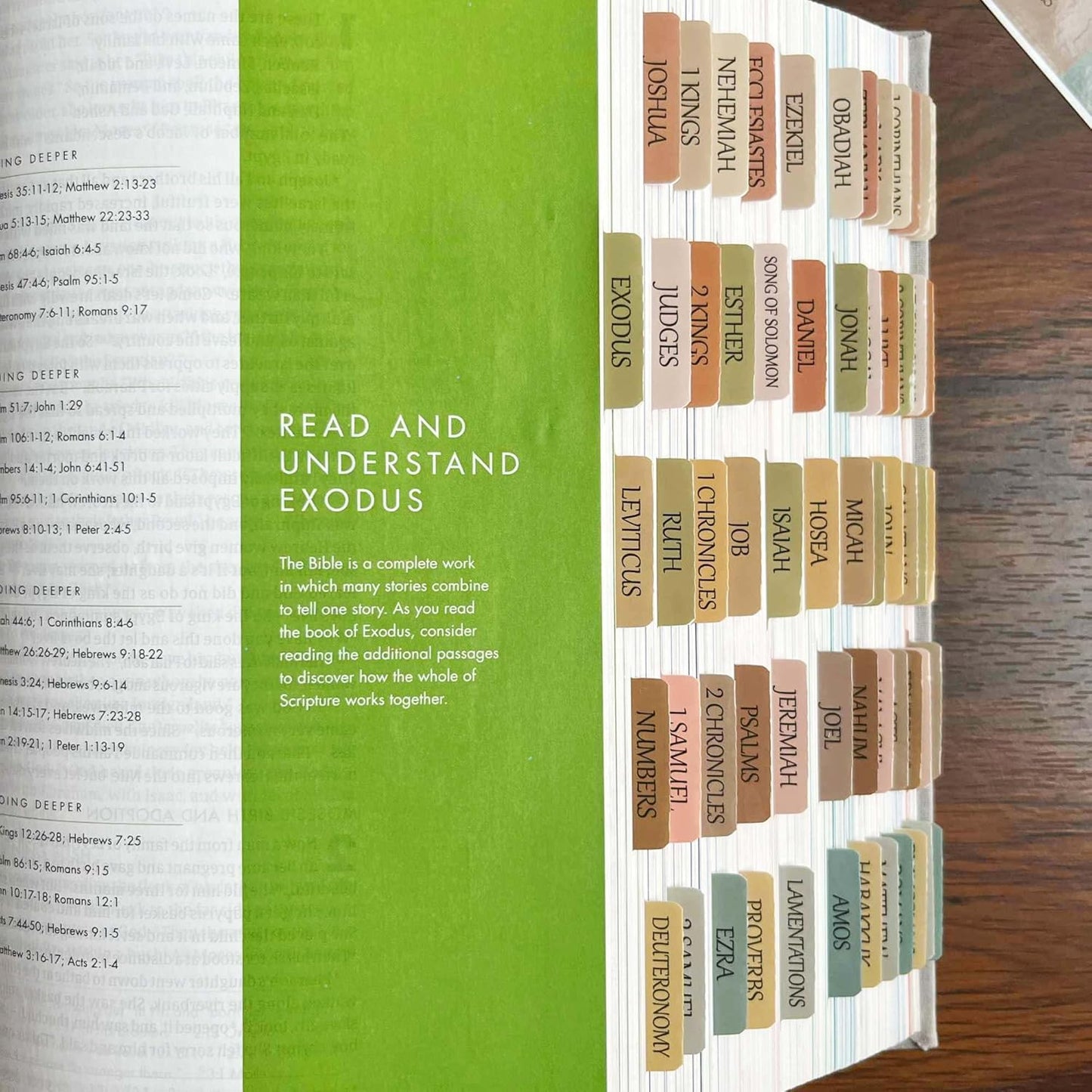 Thinkor- Repositionable Bible Tabs, 66 Pink Theme Laminated Tabs for Women, Thinkor for Study Bible