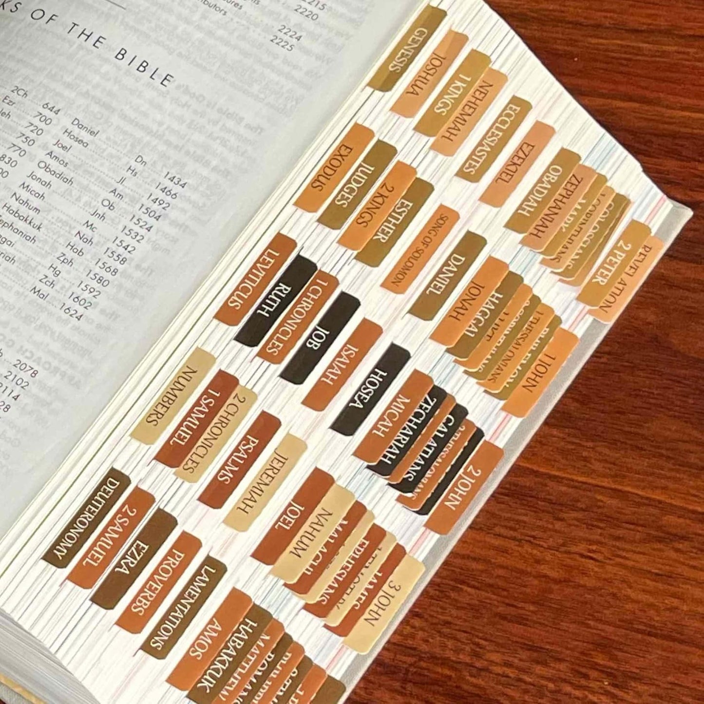 Thinkor Reposition Laminated Bible Tabs, Large Print Stickers, Easy to Read & Apply Bible Tabs for Women & Man (Earthy Brown)