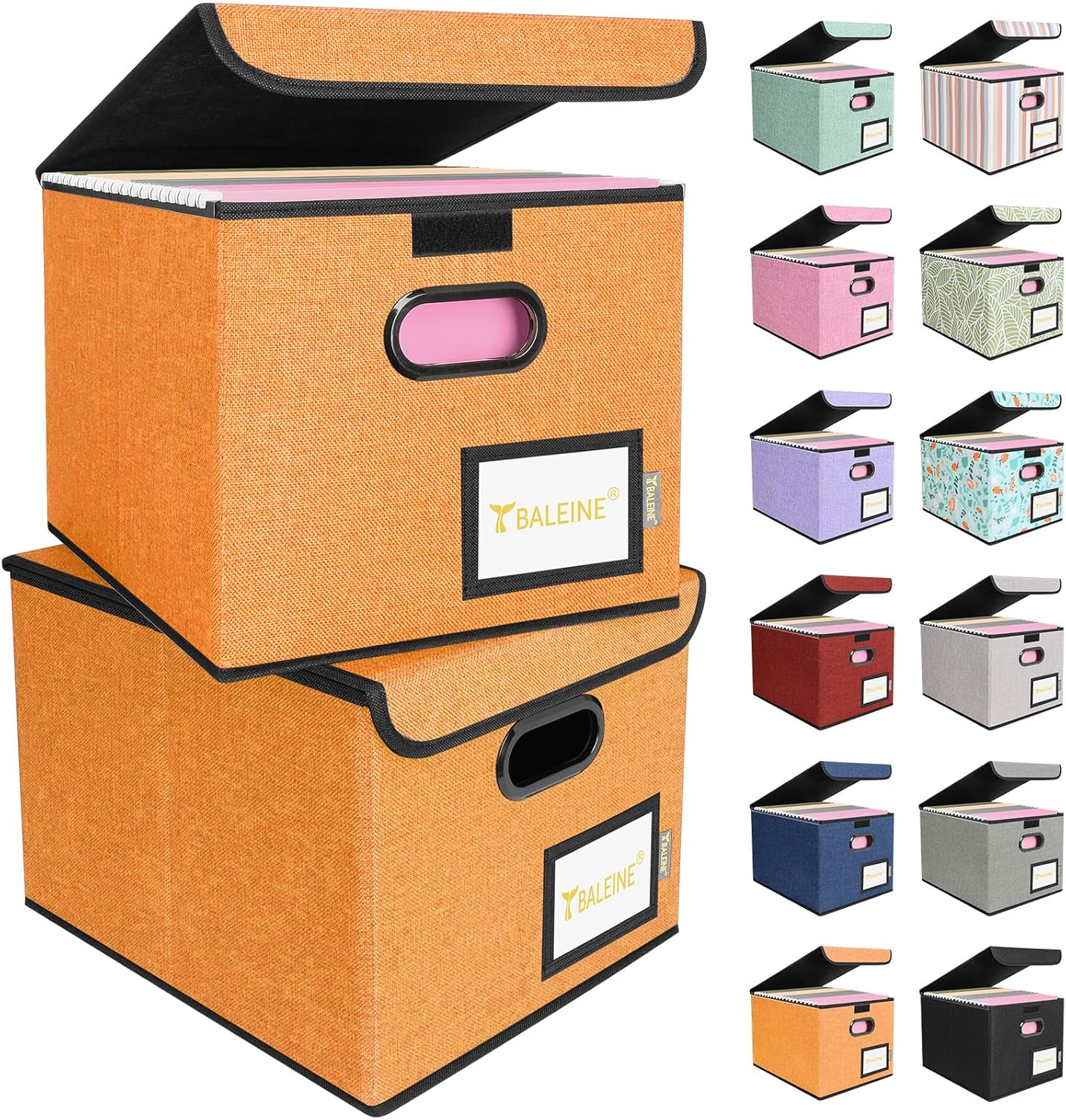 BALEINE File Organizer Box with Lid, Collapsible File Folder Organizer with Plastic Slide, Hanging File Folder Box for Office Document Storage (1 Pack, Black)