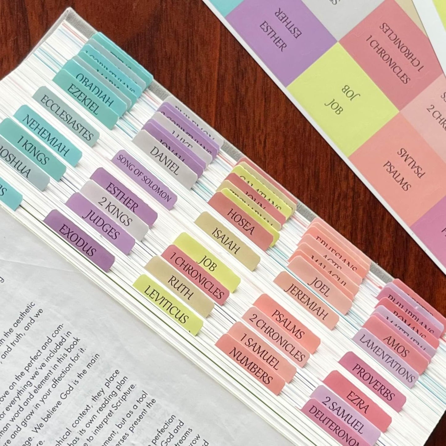 Thinkor Reposition Laminated Bible Tabs, Large Print Stickers, Easy to Read & Apply Bible Tabs for Women & Man (Earthy Brown)