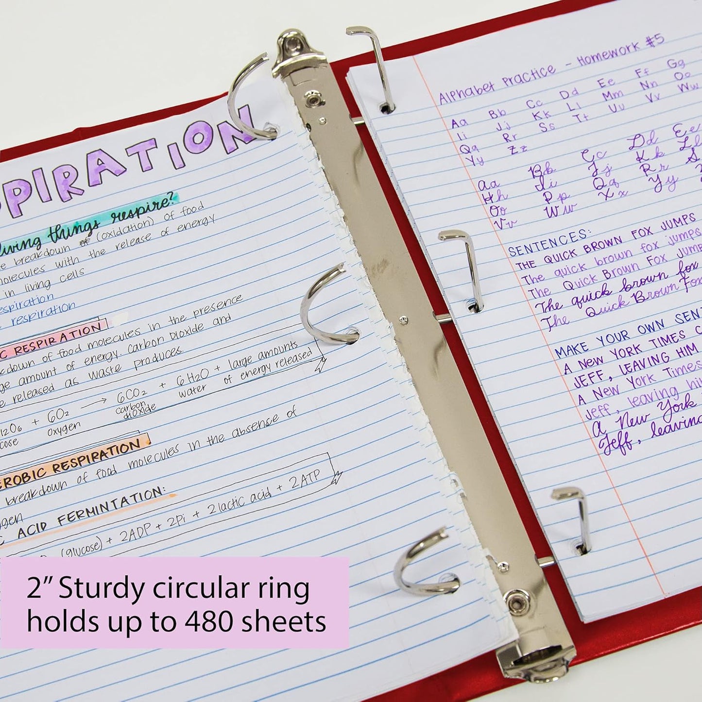 BAZIC Products 3 Ring Binder 2" View Binders Slant D Ring Organizer - Burgundy, Hold 480 Sheets Paper, for School Office Home, 1-Count