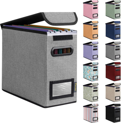 BALEINE File Organizer Box with Lid, Collapsible File Folder Organizer with Plastic Slide, Hanging File Folder Box for Office Document Storage (1 Pack, Black)