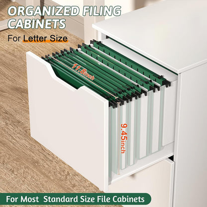 Plastic Extra Capacity Hanging File Folder Letter Size,12 Pack Reinforced Expandable Hanging Folders,Heavy Duty 2 Inch Expansion,Adjustable Tabs,Hanging Organizer Designed for Bulky Files(Gray)