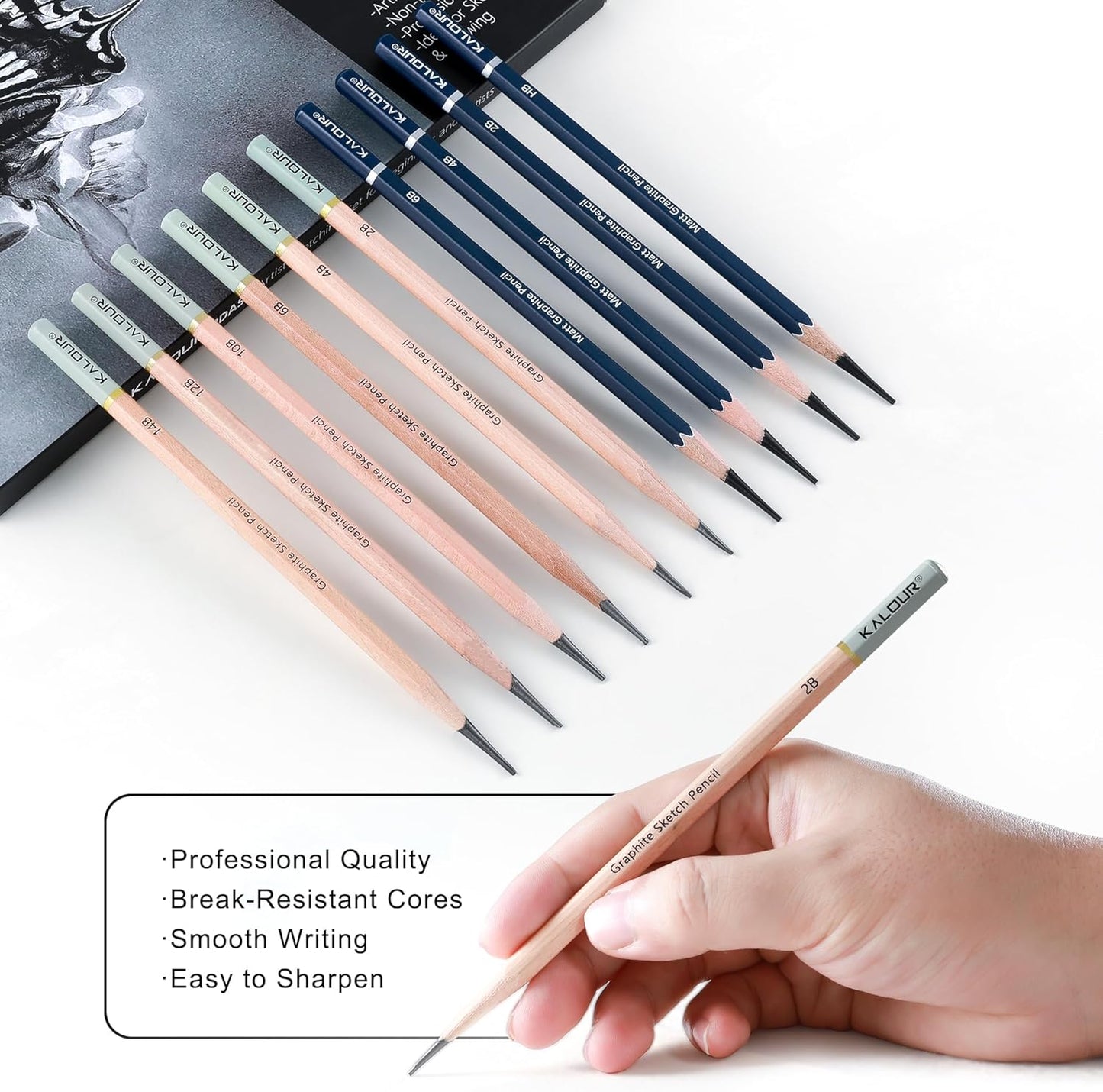 KALOUR 29 Pro Sketching Drawing Pencils Set with Roll-Up Nylon Case – 14 Graphite Pencils (14B–5H), Charcoal Pencils, Erasers, Sharpener & Stumps – Complete Art Kit for Artists & Beginner