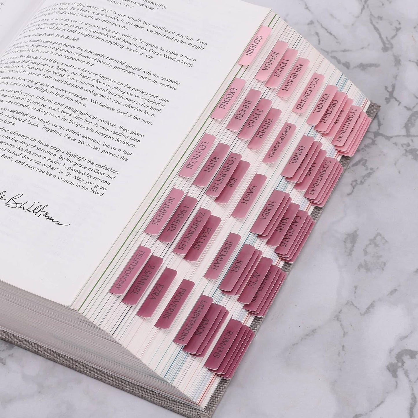Thinkor- Repositionable Bible Tabs, 66 Pink Theme Laminated Tabs for Women, Thinkor for Study Bible
