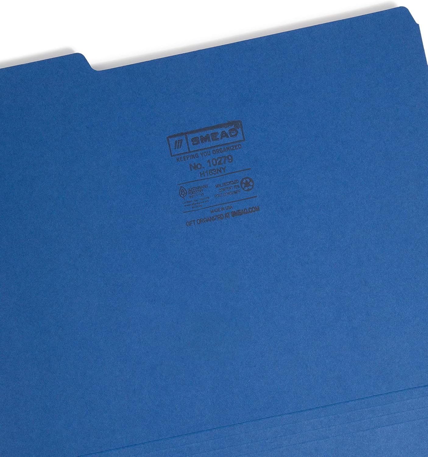 Smead Interior File Folder, 1/3-Cut Tab, Letter Size, Aqua, 100 per Box, Expandable File Folders for Filing Cabinet