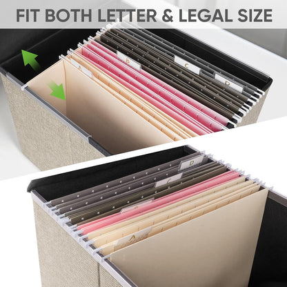 BALEINE File Organizer Box with Lid, Collapsible File Folder Organizer with Plastic Slide, Hanging File Folder Box for Office Document Storage (1 Pack, Black)