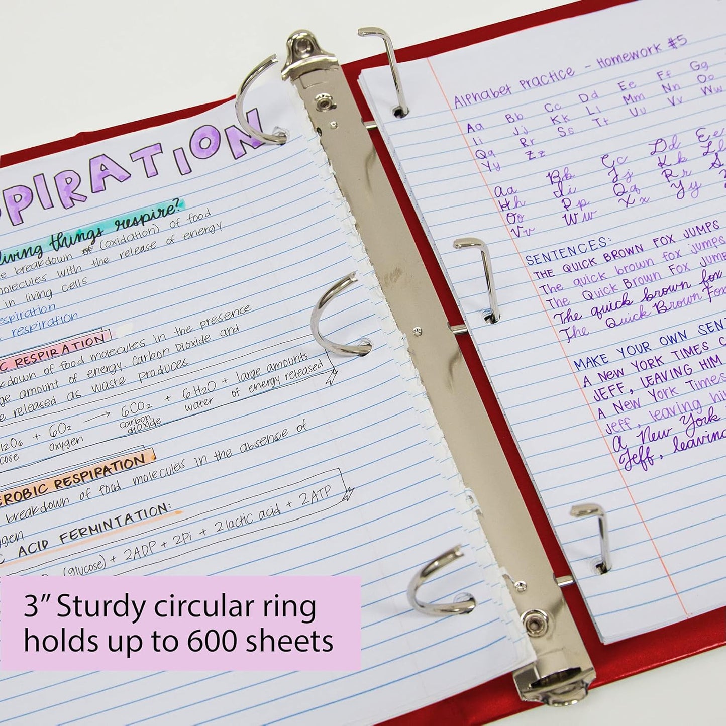 BAZIC Products 3 Ring Binder 3" View Binders Slant D Ring Organizer - White, Hold 600 Sheets Paper, for School Office Home, 2-Count