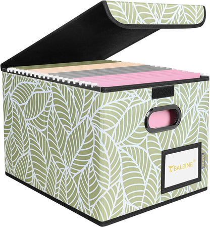 BALEINE File Organizer Box with Lid, Collapsible File Folder Organizer with Plastic Slide, Hanging File Folder Box for Office Document Storage (1 Pack, Black)