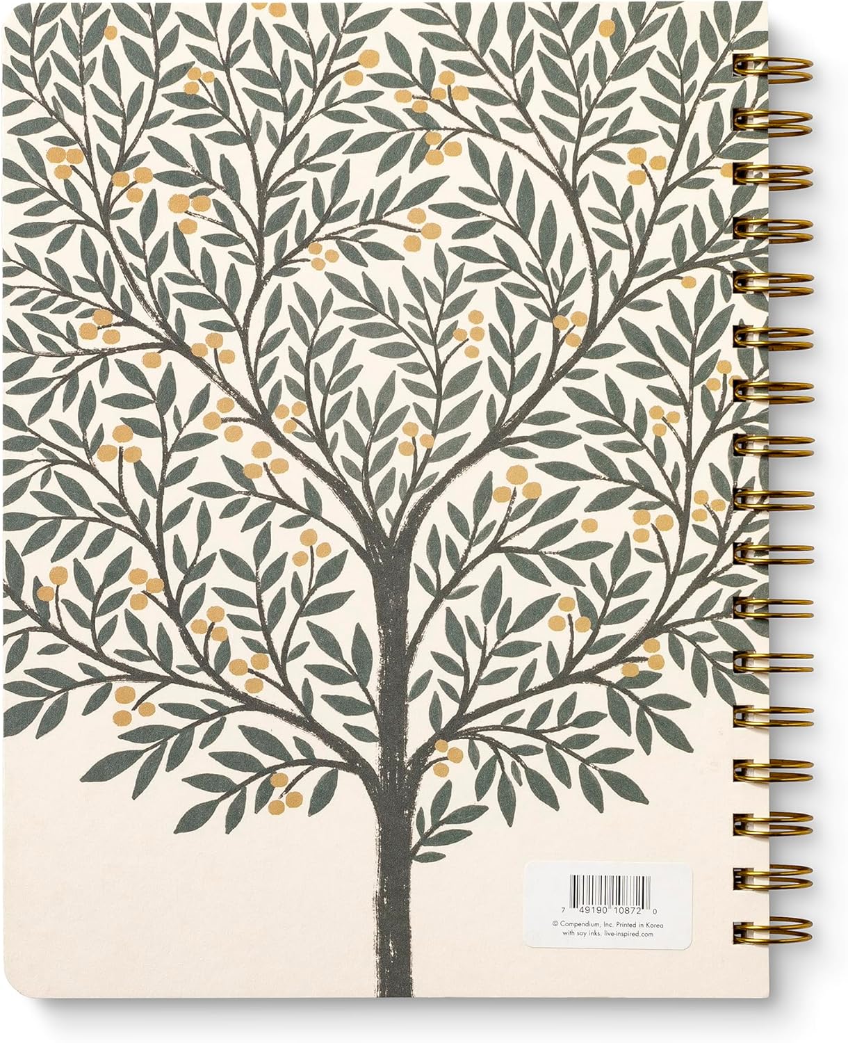 Compendium Spiral Notebook – Expect the Best Things to Happen Today – A Designer Spiral Notebook with 192 Lined Pages, College Ruled, 7.0" W x 9.25" H