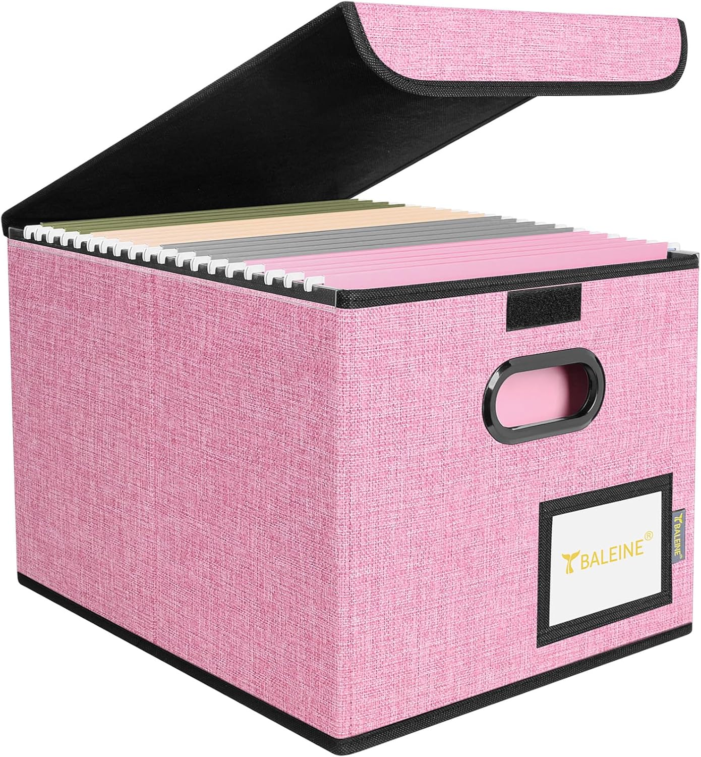 BALEINE File Organizer Box with Lid, Collapsible File Folder Organizer with Plastic Slide, Hanging File Folder Box for Office Document Storage (1 Pack, Black)