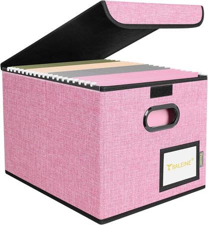 BALEINE File Organizer Box with Lid, Collapsible File Folder Organizer with Plastic Slide, Hanging File Folder Box for Office Document Storage (1 Pack, Black)
