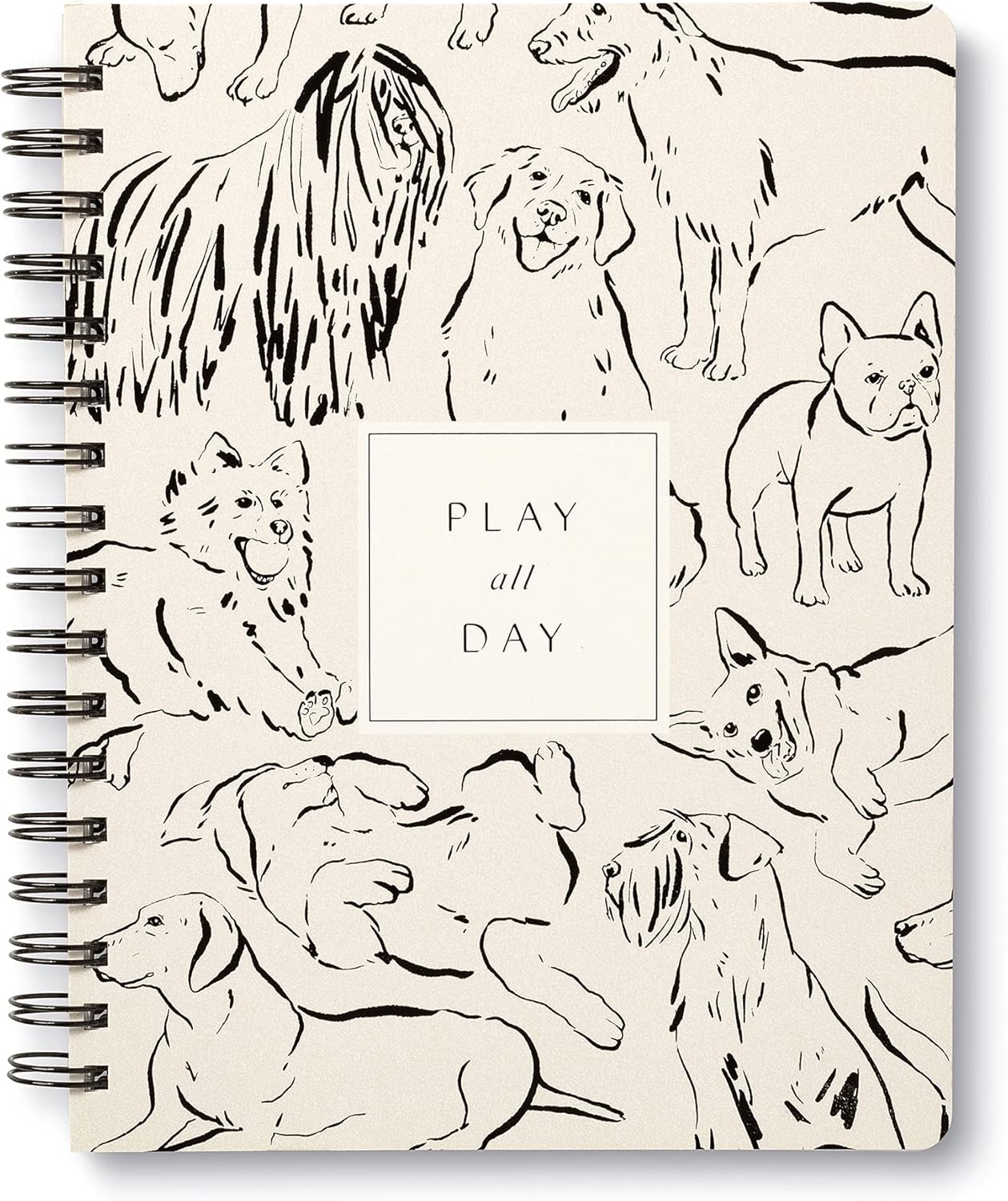 Compendium Spiral Notebook – Expect the Best Things to Happen Today – A Designer Spiral Notebook with 192 Lined Pages, College Ruled, 7.0" W x 9.25" H