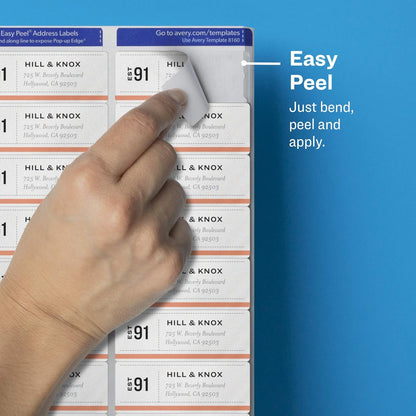 Avery Printable Address Labels for Laser Printers, 1" x 2-5/8", Matte Clear, 300 Blank Mailing Labels (15660)