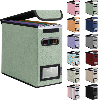 BALEINE File Organizer Box with Lid, Collapsible File Folder Organizer with Plastic Slide, Hanging File Folder Box for Office Document Storage (1 Pack, Black)