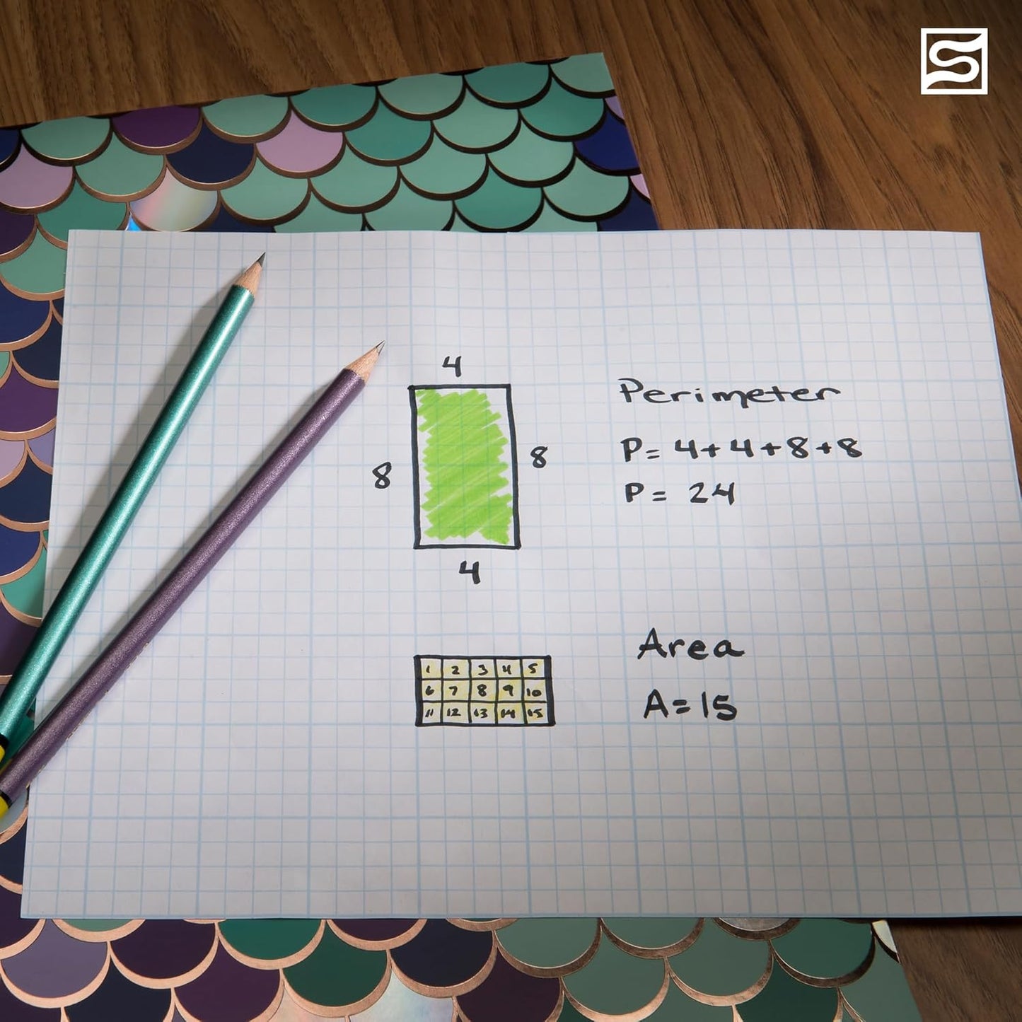 Bienfang Designer Grid Paper Pad, 8x8 Cross Section, 11 x 17 inches, 50 sheets
