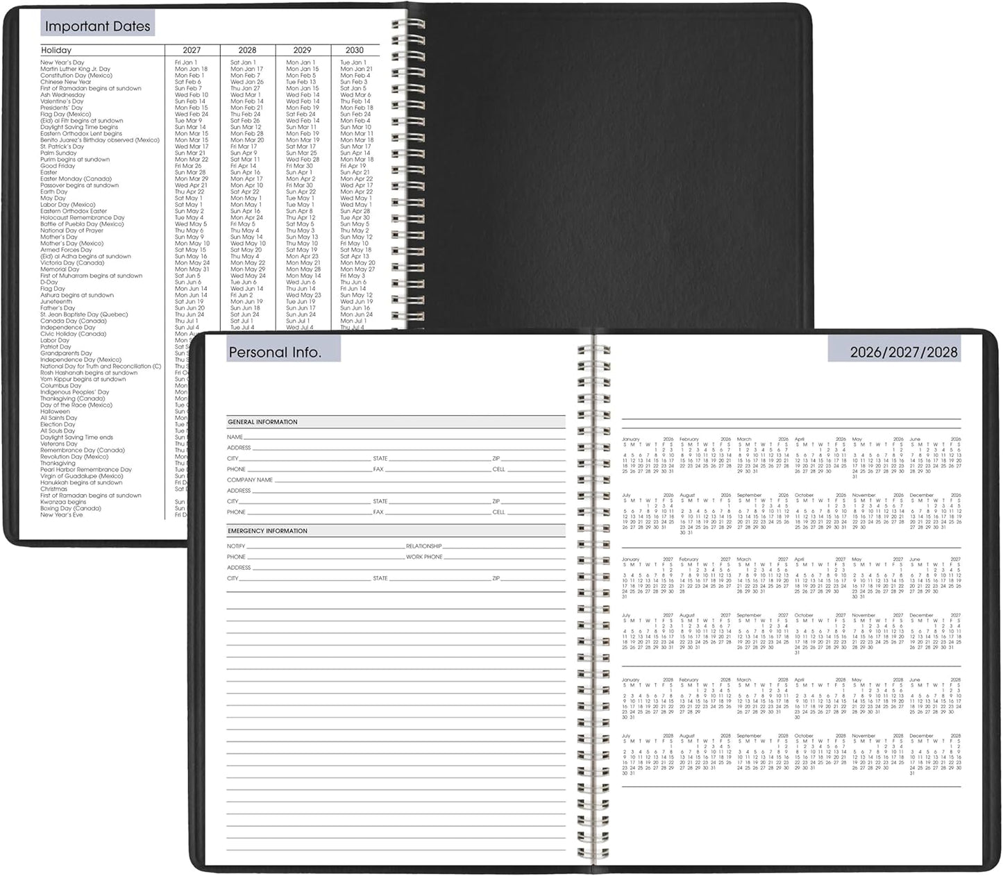 AT-A-GLANCE 2026 Appointment Book Planner, Weekly, 8" x 11", Large, Quarter-Hourly, DayMinder, Black (G5200026)