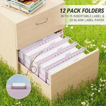 XINGIA Extra Capacity Wheat Straw Hanging File Folders Legal Size,2 Inch Expandable Plastic Hanging File Organizer,12 Pack Heavy Duty Hang Folders for Filing Cabinet,Bulky Files(Morandi Green)