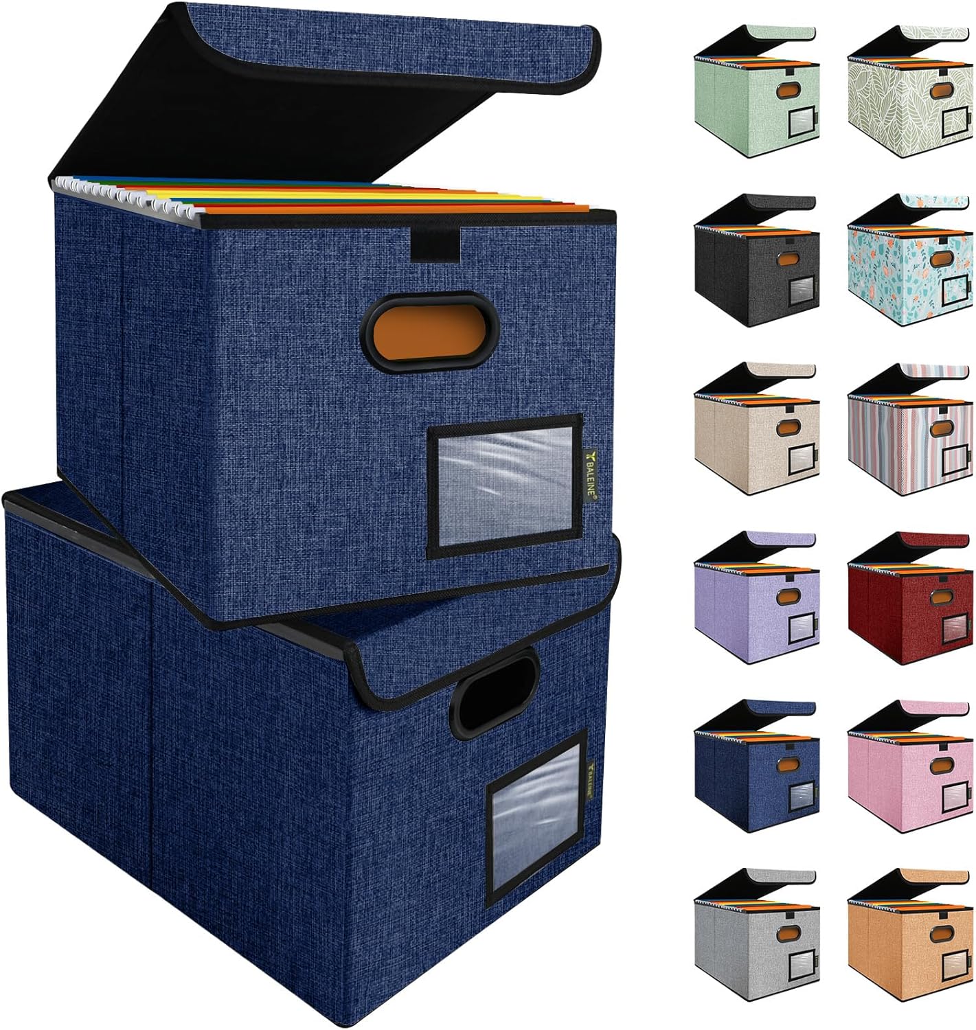 BALEINE File Organizer Box with Lid, Collapsible File Folder Organizer with Plastic Slide, Hanging File Folder Box for Office Document Storage (1 Pack, Black)
