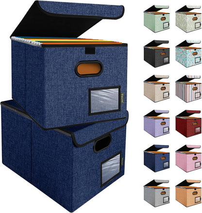 BALEINE File Organizer Box with Lid, Collapsible File Folder Organizer with Plastic Slide, Hanging File Folder Box for Office Document Storage (1 Pack, Black)