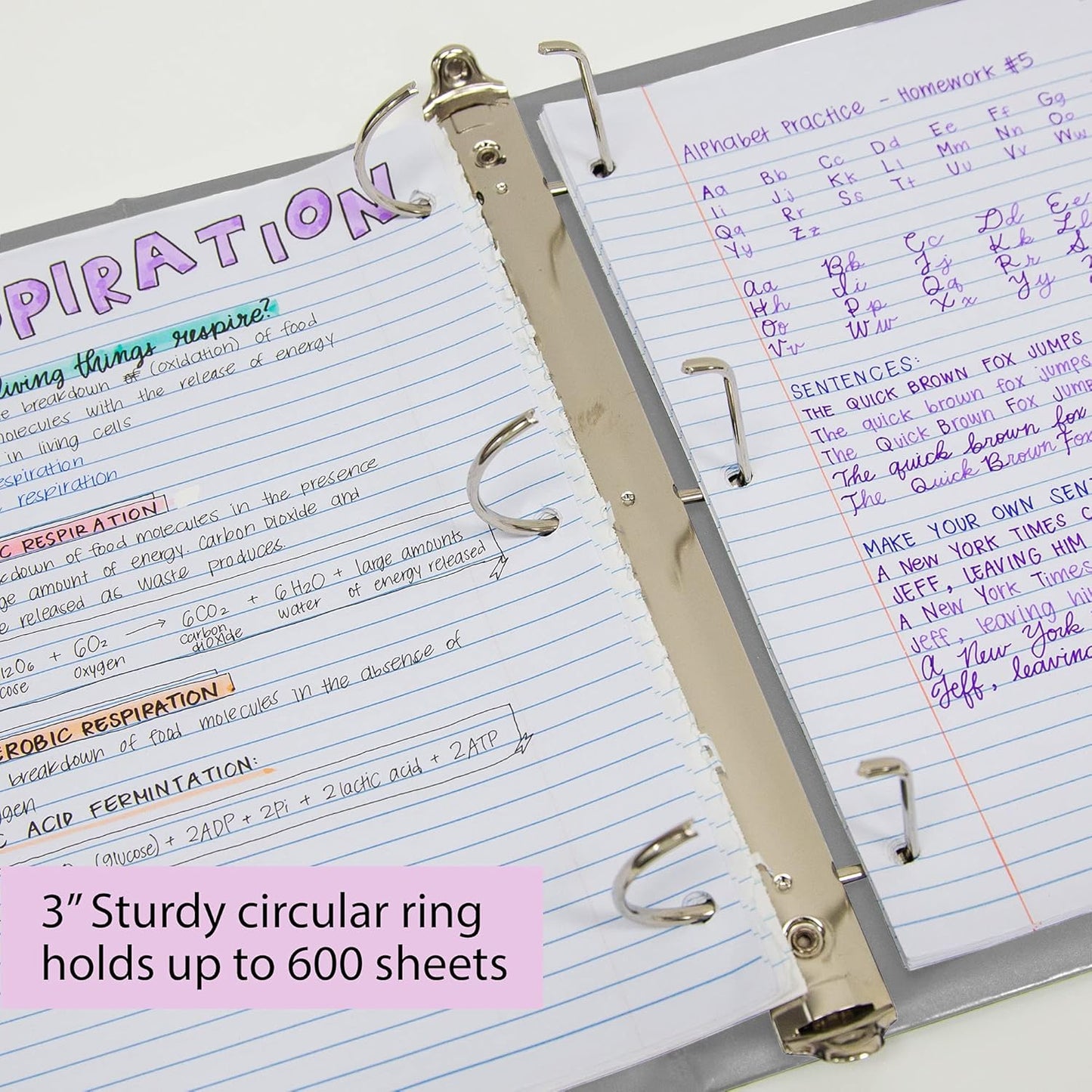 BAZIC Products 3 Ring Binder 3" View Binders Slant D Ring Organizer - White, Hold 600 Sheets Paper, for School Office Home, 2-Count