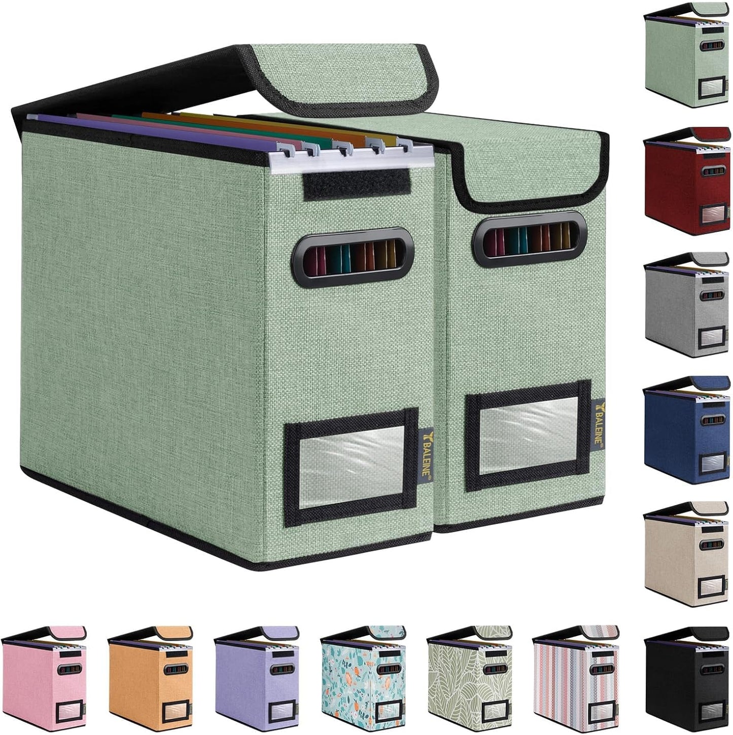 BALEINE File Organizer Box with Lid, Collapsible File Folder Organizer with Plastic Slide, Hanging File Folder Box for Office Document Storage (1 Pack, Black)
