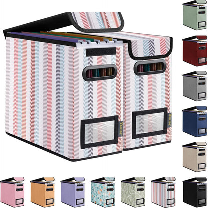 BALEINE File Organizer Box with Lid, Collapsible File Folder Organizer with Plastic Slide, Hanging File Folder Box for Office Document Storage (1 Pack, Black)