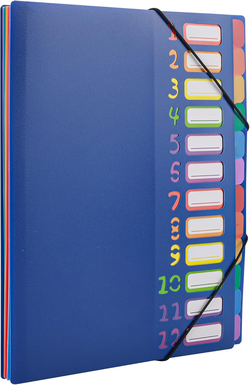 Edufun Rainbow Tab Expanding File Folder - 24 Pockets, Durable A4 Letter Size Organizer, Water-Resistant Plastic Dividers, Home/Office/School Document Holder (Black)