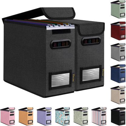 BALEINE File Organizer Box with Lid, Collapsible File Folder Organizer with Plastic Slide, Hanging File Folder Box for Office Document Storage (1 Pack, Black)