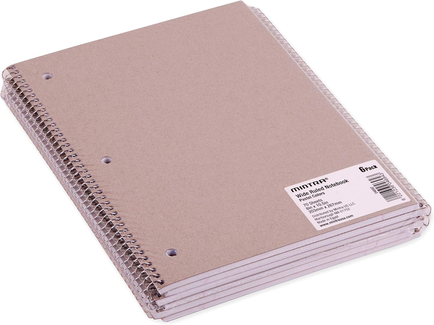 Mintra Office Spiral Notebooks, Wirebound, Journals for School, Work, Business, Aesthetic Stationery, Writing Pads, Teacher & Student Supplies (6, Pastel, College)