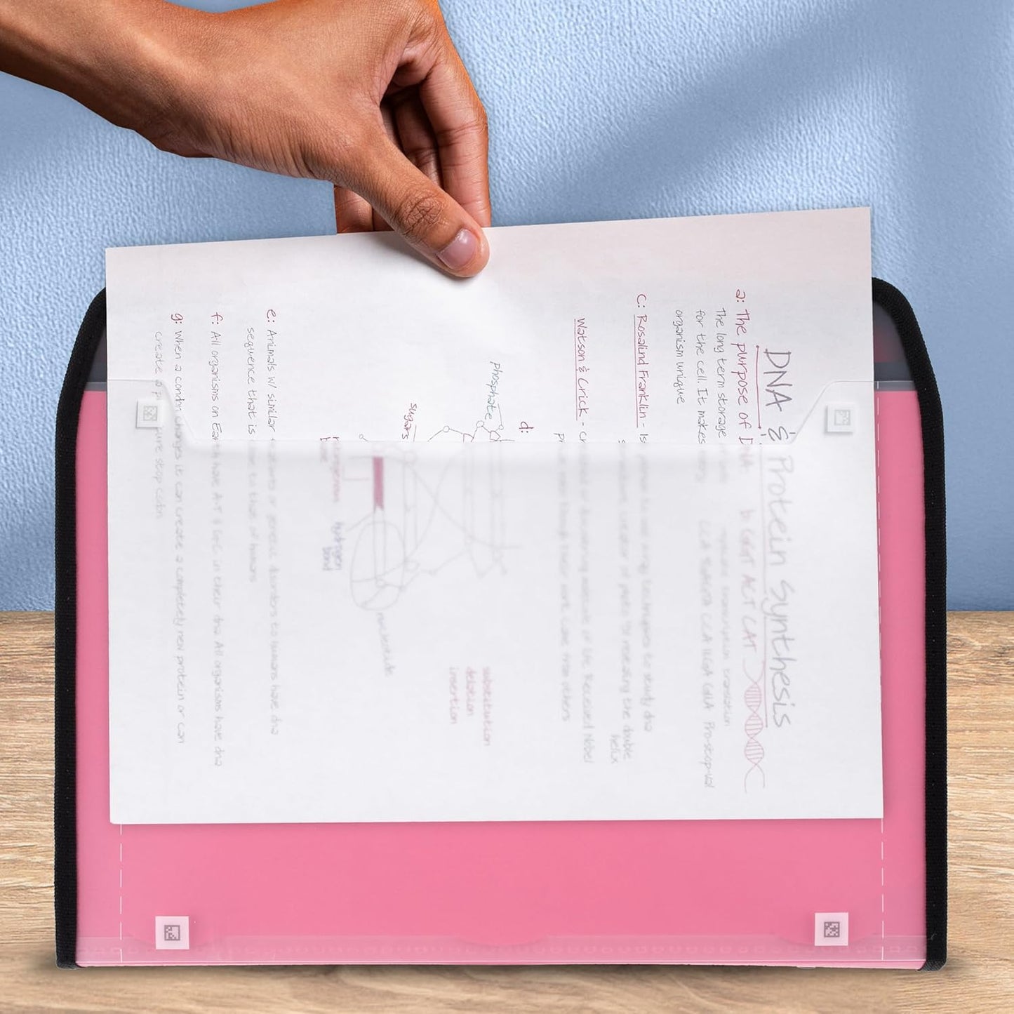 Five Star Expanding File Organizer + Study App, 7-Pocket Accordian File Organizer, Zipper Closure, Holds 8-1/2" x 11" Paper, Prom Pink (350099R)