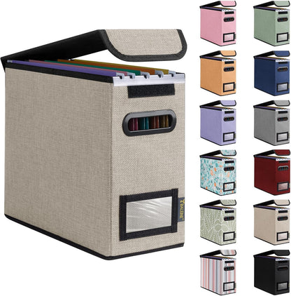 BALEINE File Organizer Box with Lid, Collapsible File Folder Organizer with Plastic Slide, Hanging File Folder Box for Office Document Storage (1 Pack, Black)
