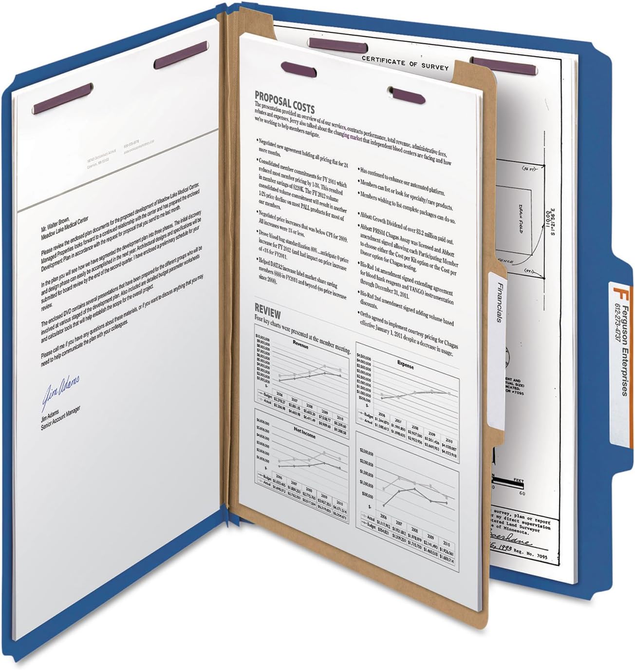 Smead Classification Folder, Letter, 2/5 Right of Center, 1 Divider, Dark Blue, 10 Per Box (13732) (Pack of 1)