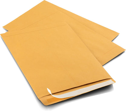 Aimoh 9 X 12 Self-Seal Brown Kraft Catalog Mailing Envelopes - 28lb - 100 Count, 9x12 Inch (38300)
