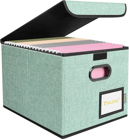 BALEINE File Organizer Box with Lid, Collapsible File Folder Organizer with Plastic Slide, Hanging File Folder Box for Office Document Storage (1 Pack, Black)