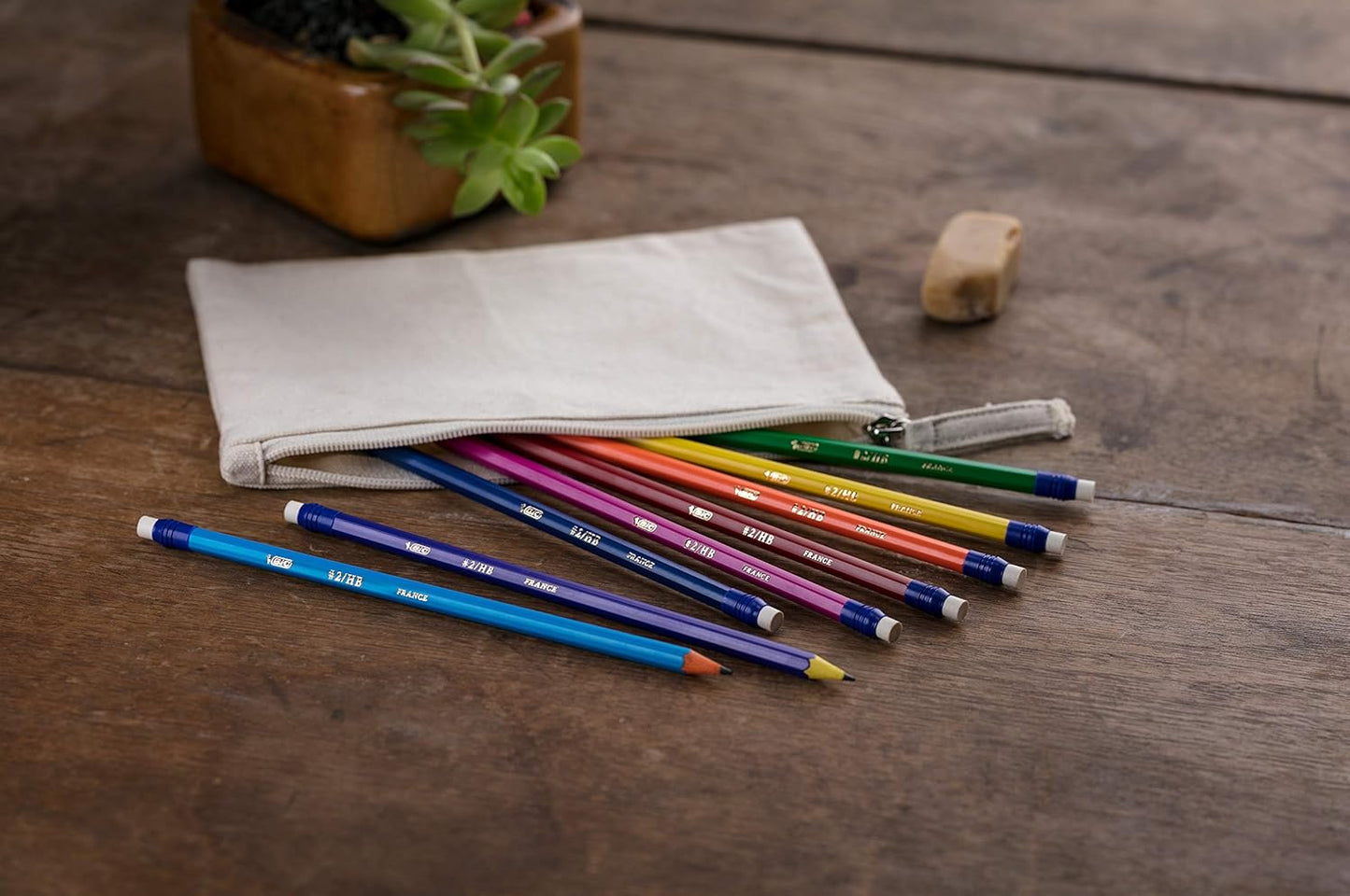 Bic Extra-Fun #2 Pencils, Multi-Colour