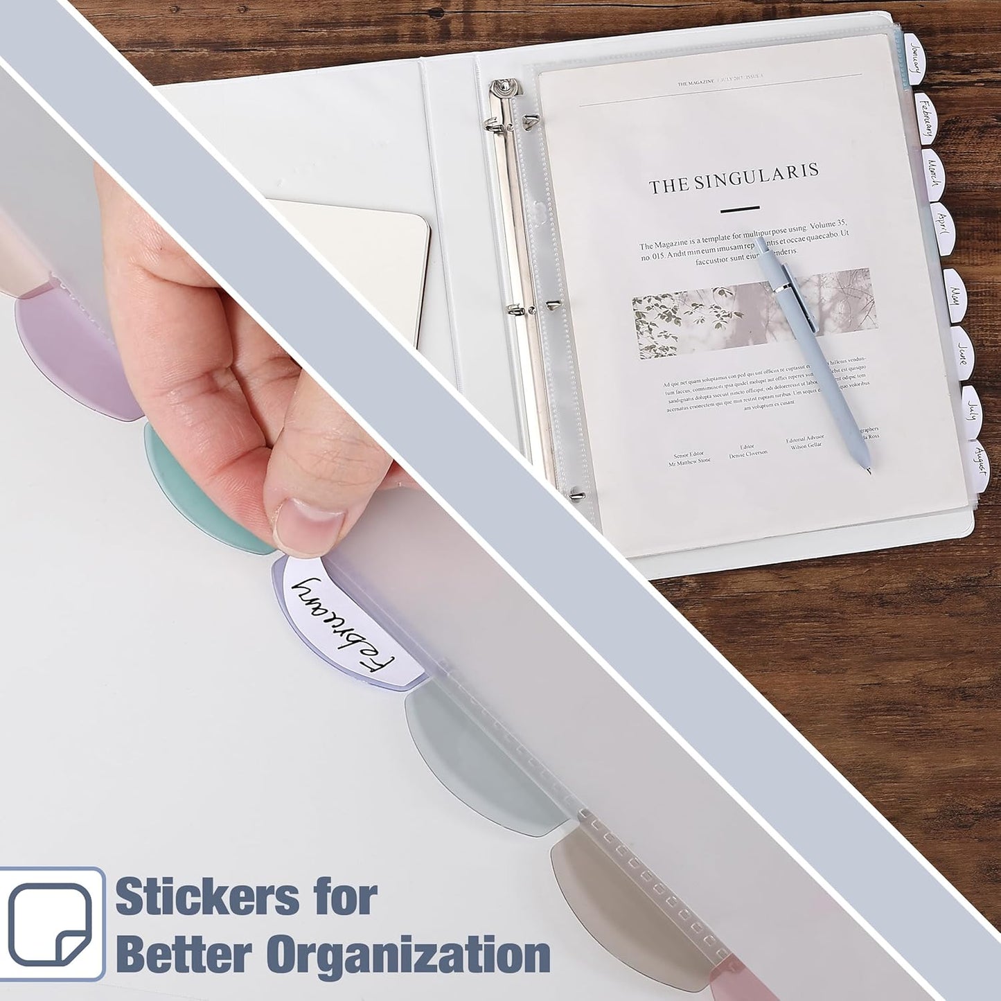 Mr. Pen- Clear Sheet Protectors with Tabs, 8.5x11 Inches, 8 Tabs, 2 Sets, Durable Clear Plastic Dividers for 3 Ring Binders, Insertable Index Page Divider with Multicolor Tabs