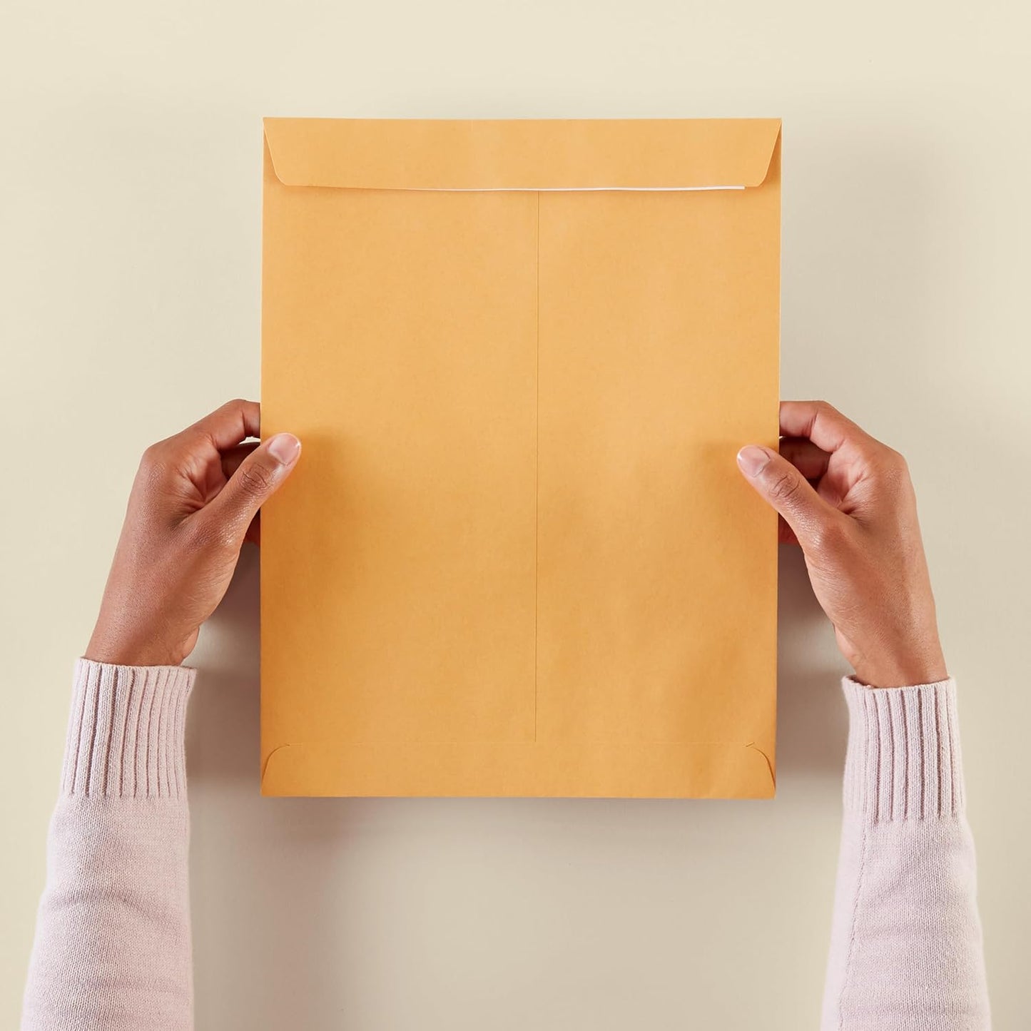 Amazon Basics Catalog Mailing Envelopes, Peel and Seal, 9" x 12", Brown Kraft, 100-Pack