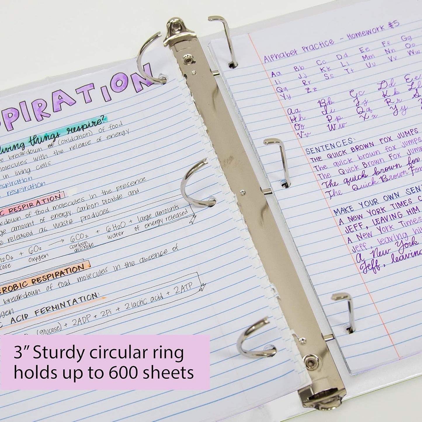BAZIC Products 3 Ring Binder 3" View Binders Slant D Ring Organizer - White, Hold 600 Sheets Paper, for School Office Home, 2-Count