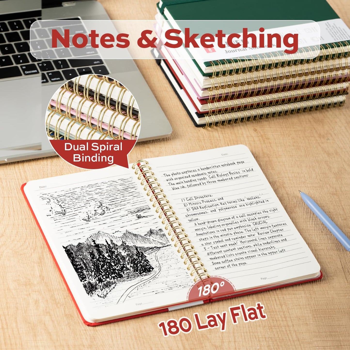 deli Rose Red Lined Spiral Journal Notebook, 160 Pages, A5 (5.5"x8") Hardcover Writing Notebook, College Ruled Spiral Bound Journal for Women & Men - Perfect for Work, School, Office & Note Taking