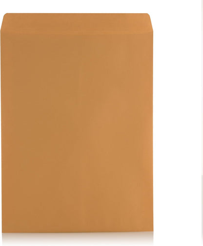 Aimoh 9 X 12 Self-Seal Brown Kraft Catalog Mailing Envelopes - 28lb - 100 Count, 9x12 Inch (38300)