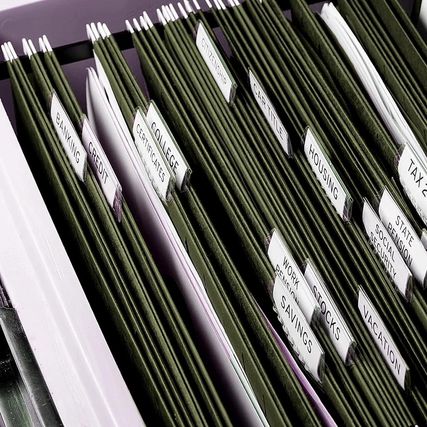Hanging File Folders, RAZCC 30 Pack Letter Size Reinforced Hanging Folders with Heavy Duty 2 Inch Expansion for Bulky Files, Filing Cabinet, Adjustable Tabs, Green