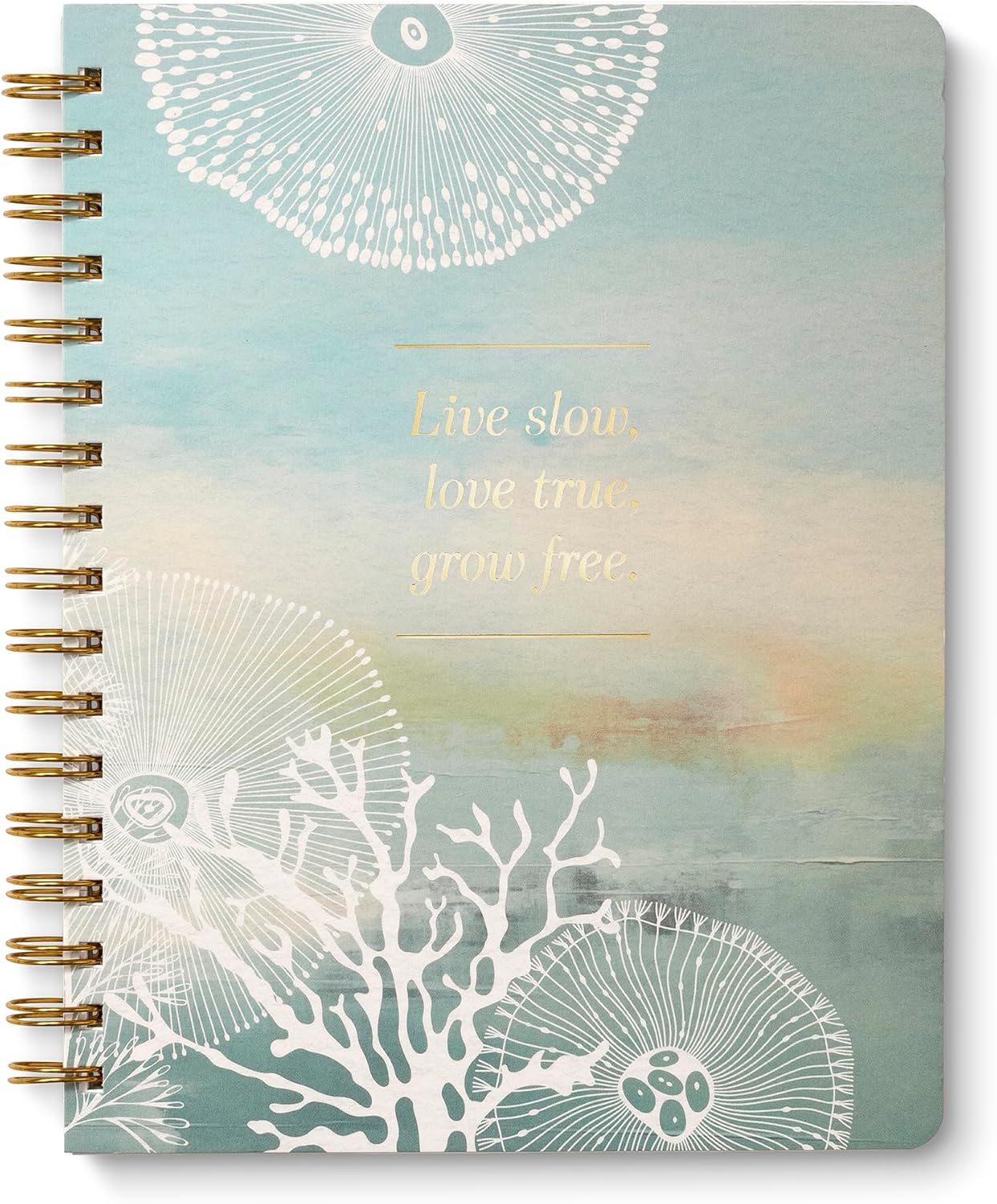 Compendium Spiral Notebook – Expect the Best Things to Happen Today – A Designer Spiral Notebook with 192 Lined Pages, College Ruled, 7.0" W x 9.25" H