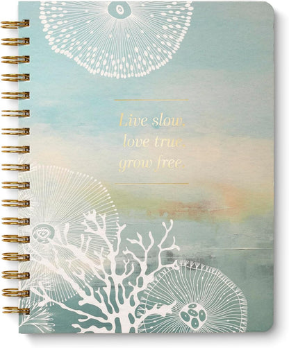 Compendium Spiral Notebook – Expect the Best Things to Happen Today – A Designer Spiral Notebook with 192 Lined Pages, College Ruled, 7.0" W x 9.25" H