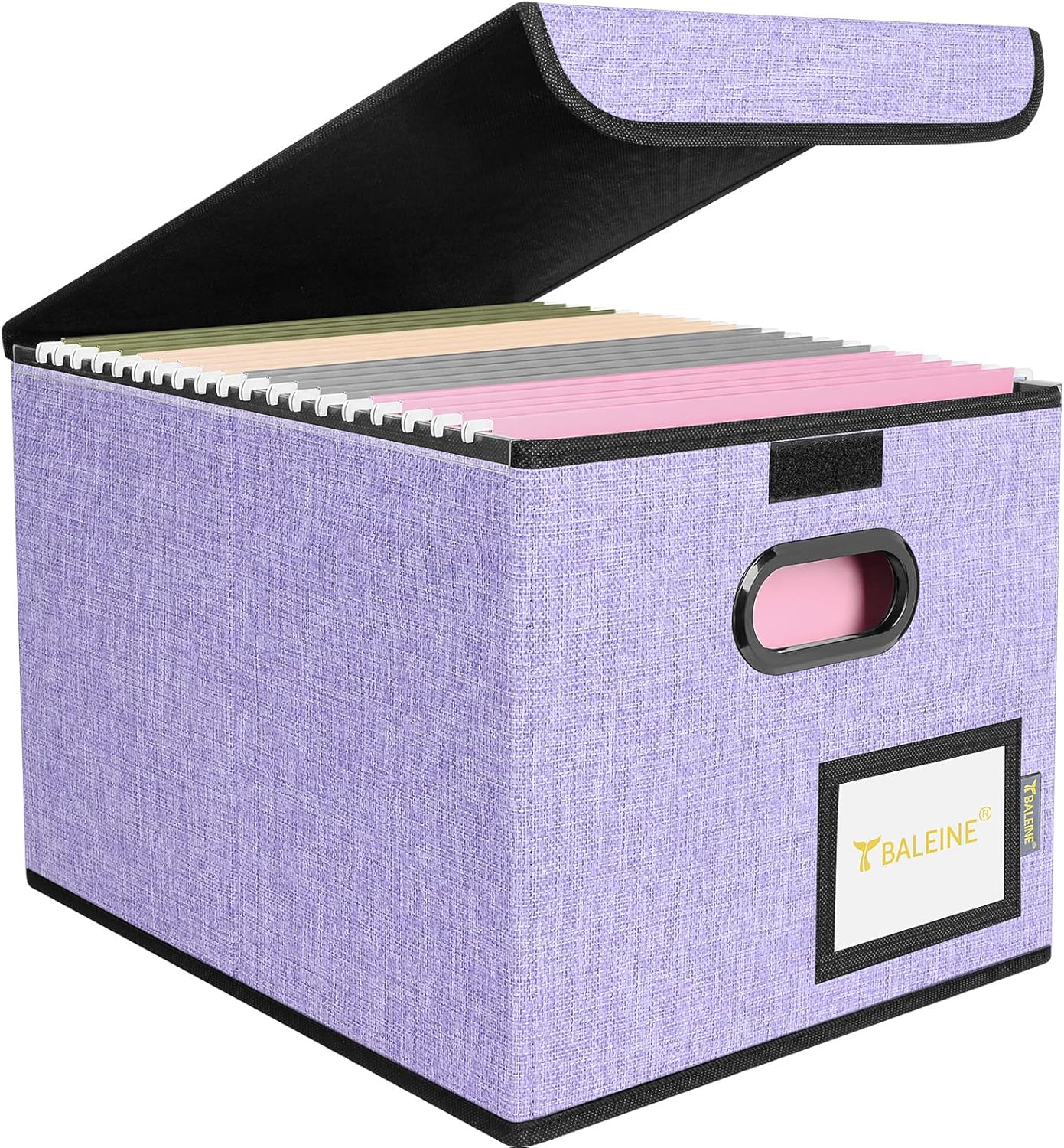 BALEINE File Organizer Box with Lid, Collapsible File Folder Organizer with Plastic Slide, Hanging File Folder Box for Office Document Storage (1 Pack, Black)