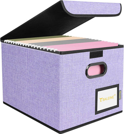 BALEINE File Organizer Box with Lid, Collapsible File Folder Organizer with Plastic Slide, Hanging File Folder Box for Office Document Storage (1 Pack, Black)