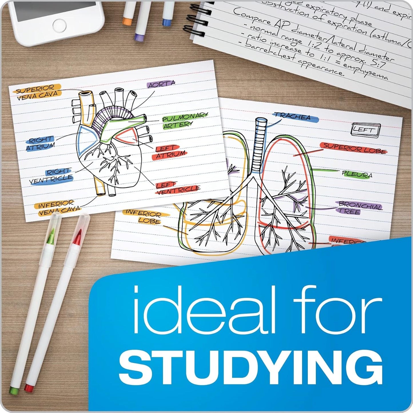 Oxford Index Cards, 3 x 5 Inches, White, Lined on Front, Blank on Back, Flashcards for School and Studying, Recipe Note Cards, 500 Count (5 Packs of 100) (40176)