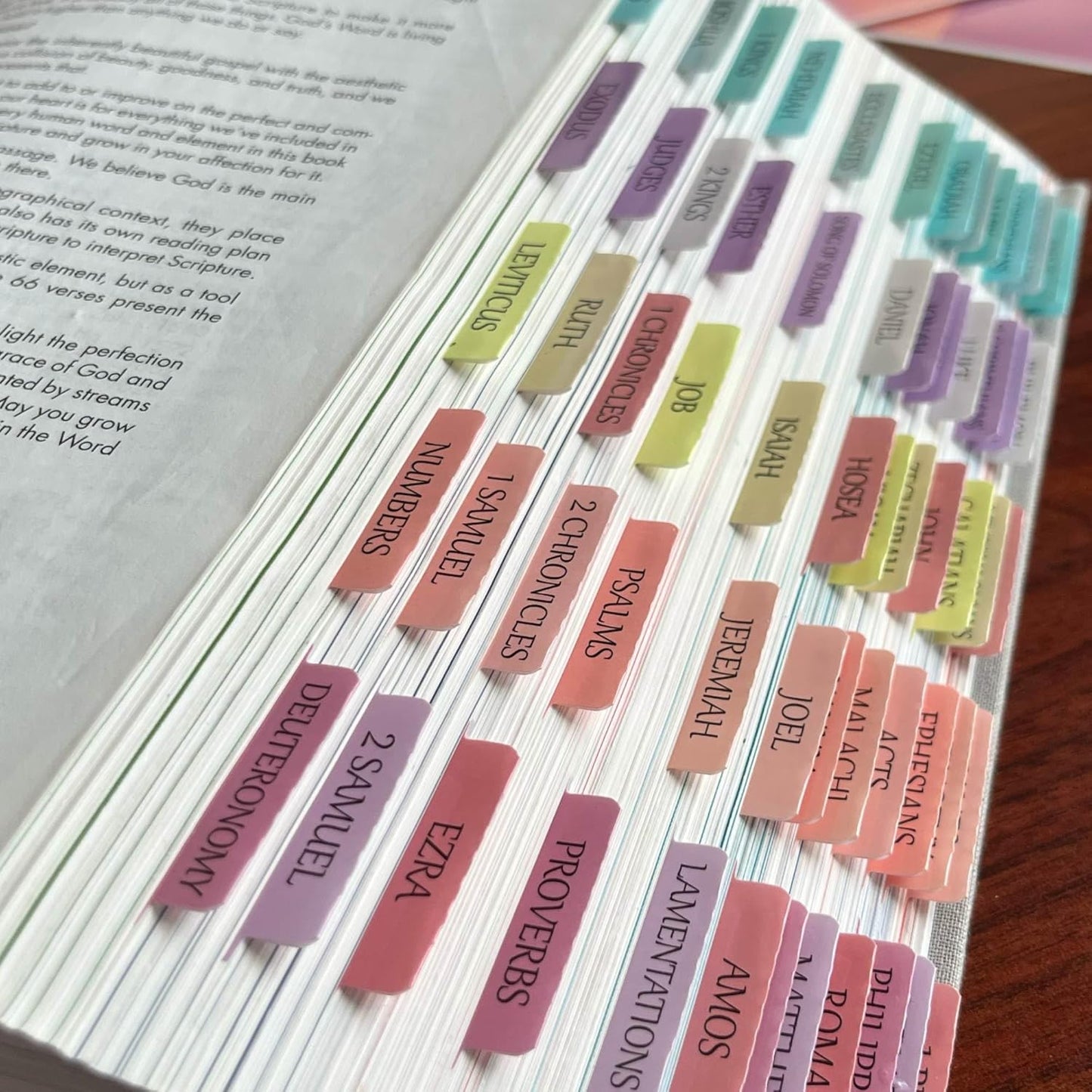 Thinkor Reposition Laminated Bible Tabs, Large Print Stickers, Easy to Read & Apply Bible Tabs for Women & Man (Earthy Brown)