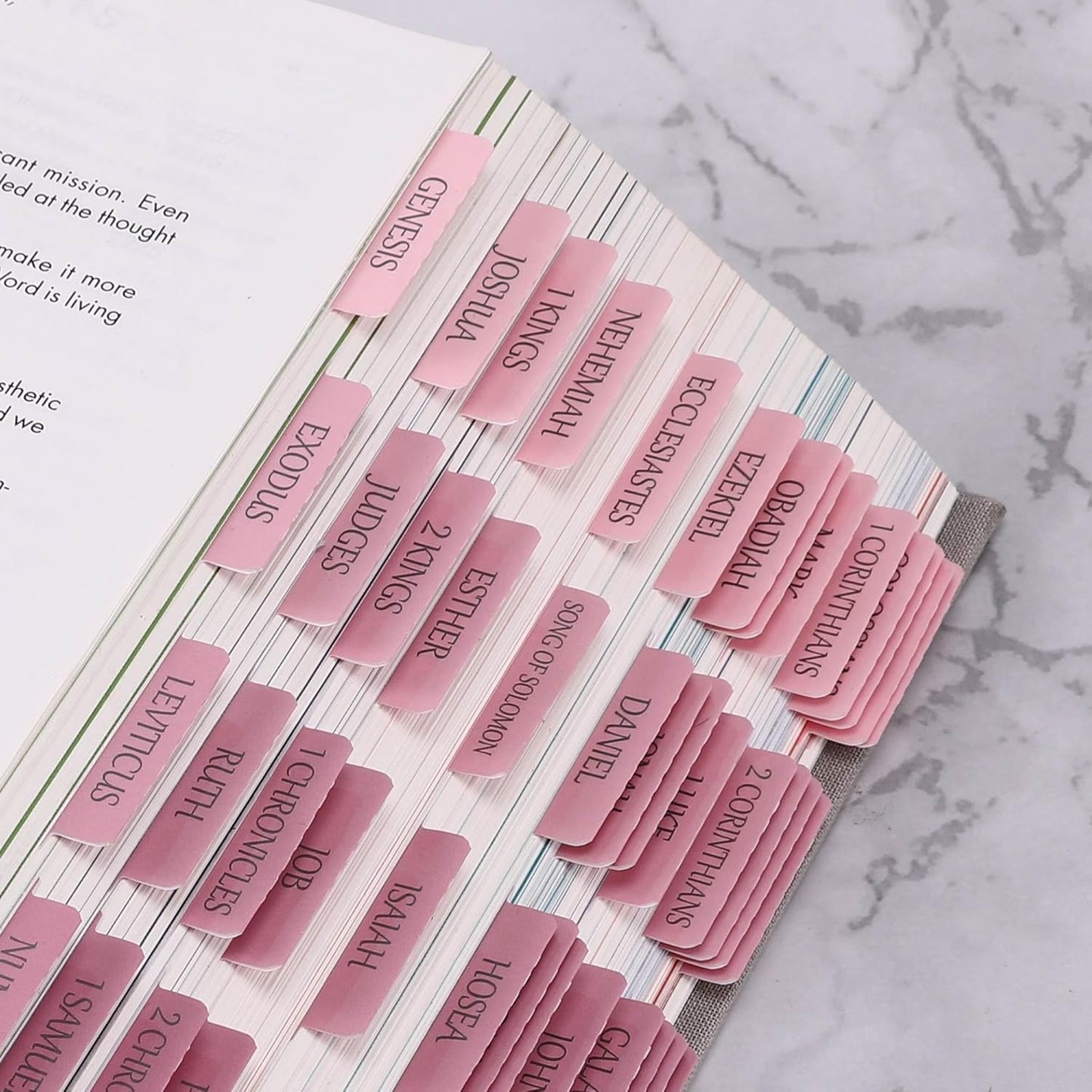 Thinkor- Repositionable Bible Tabs, 66 Pink Theme Laminated Tabs for Women, Thinkor for Study Bible