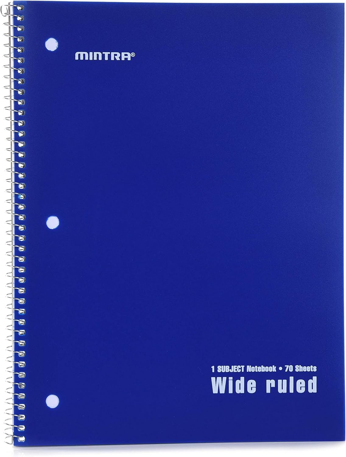 Mintra Office Spiral Notebooks, Wirebound, Journals for School, Work, Business, Aesthetic Stationery, Writing Pads, Teacher & Student Supplies (6, Pastel, College)